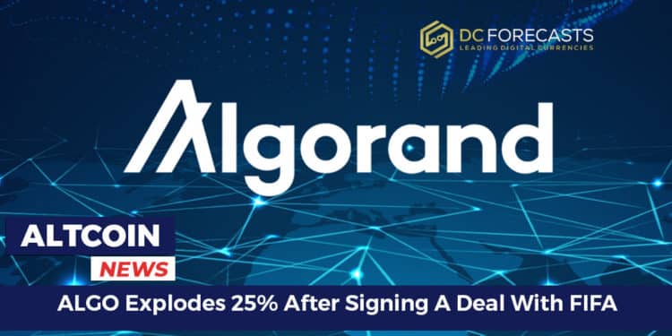 ALGO Explodes 25%