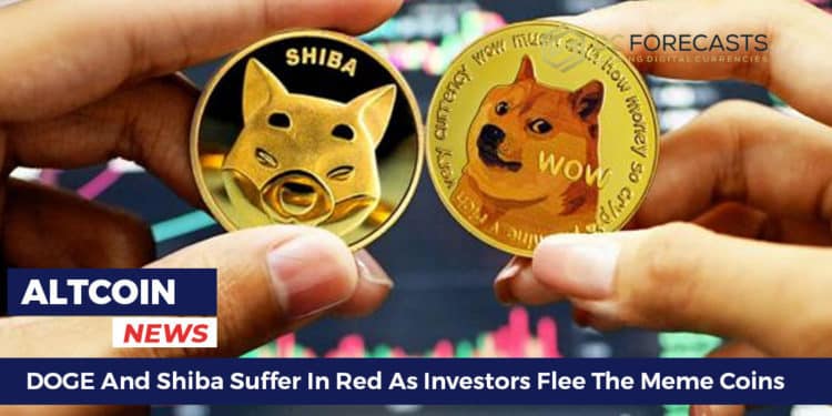 DOGE And Shiba Suffer