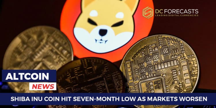 Shiba Inu Coin Hit