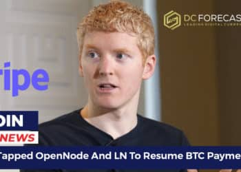 Stripe Tapped OpenNode