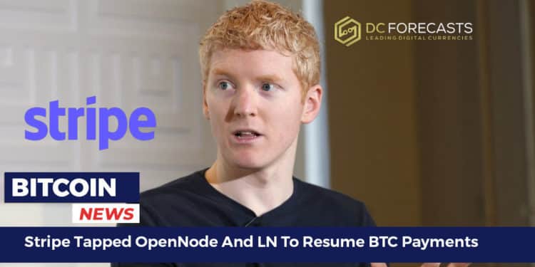 Stripe Tapped OpenNode