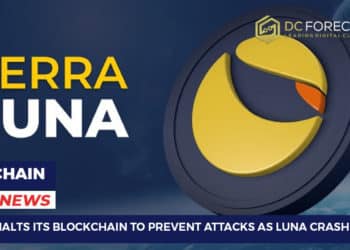 Terra Halts Its Blockchain
