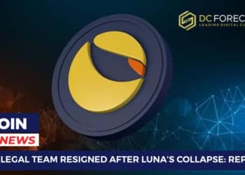 Terra’s Legal Team