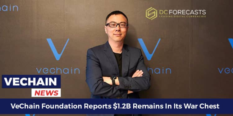 VeChain Foundation Reports