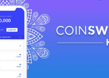 coinswitch ceo, india, regulation, crypto