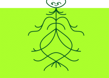 aave launched, nft, twitter, polygon, lens protocol