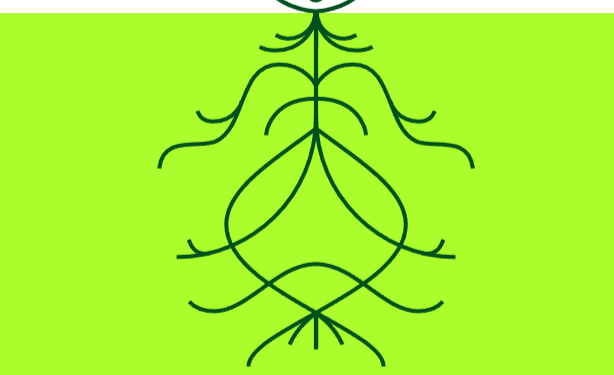 aave launched, nft, twitter, polygon, lens protocol