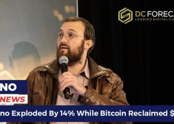 Cardano Exploded By 14%