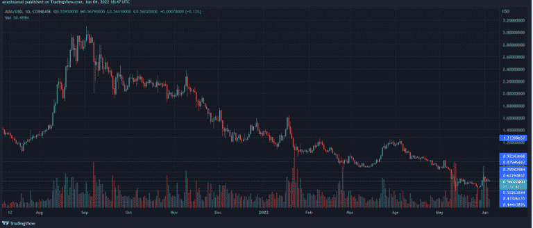 cardano price