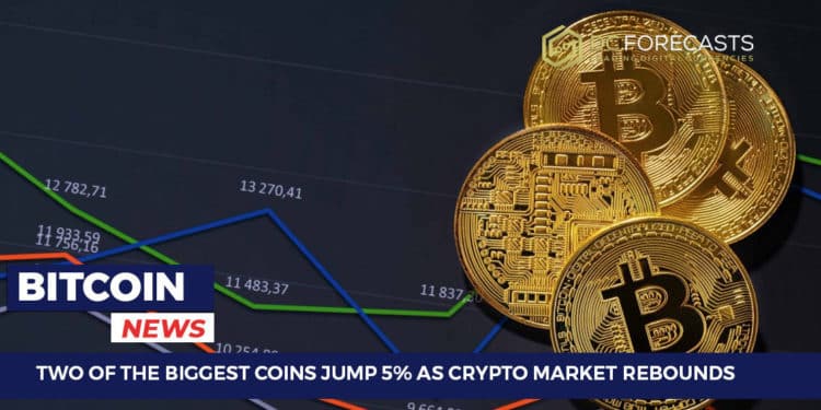 Two Of The Biggest Coins