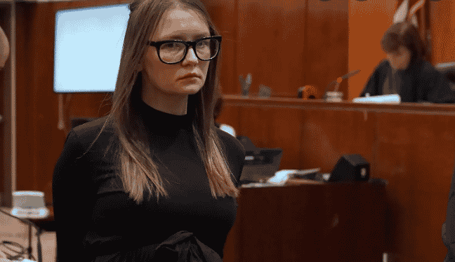 anna sorokin, nft, collection