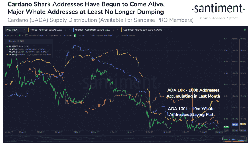 cardano price