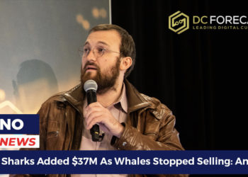 Cardano Sharks Added