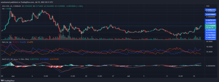 cardano price