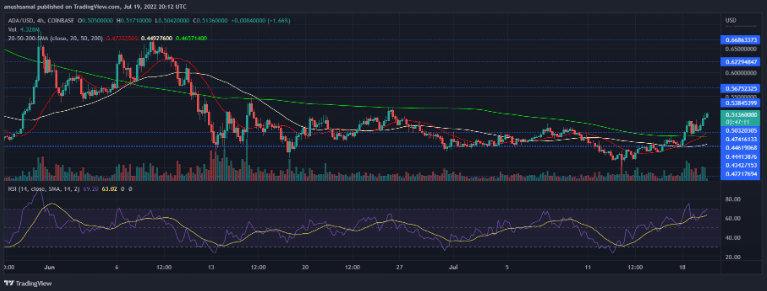 cardano registered