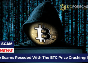 Crypto Scams Receded