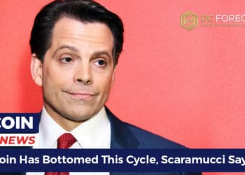 Bitcoin has bottomed