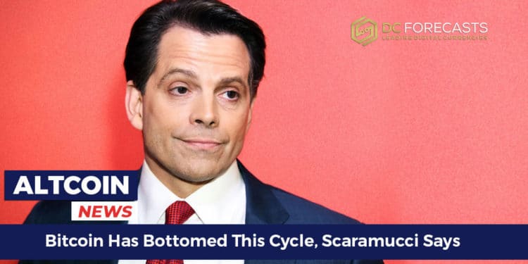 Bitcoin has bottomed