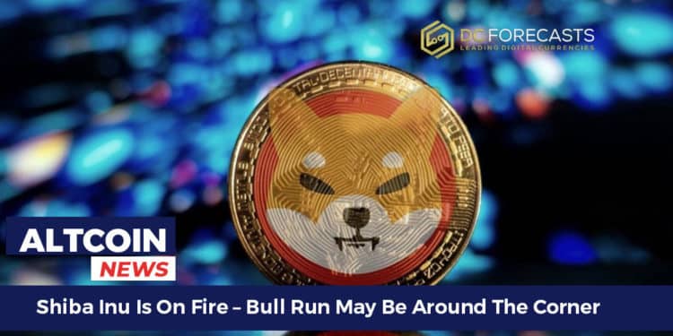 Shiba Inu is on fire