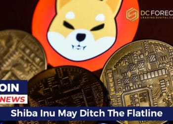 Shiba Inu May Ditch The Flatline