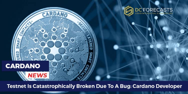 Testnet Is Catastrophically Broken