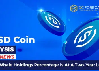 USDC Whale Holdings Percentage