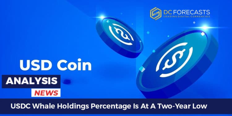 USDC Whale Holdings Percentage