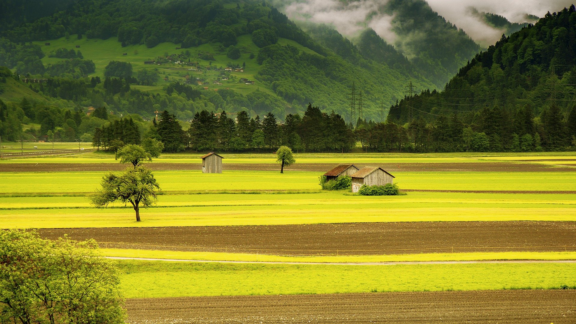 how farmers and food