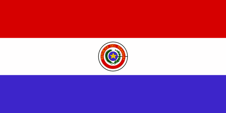 The President Of Paraguay Vetoes The Crypto Regulation Law