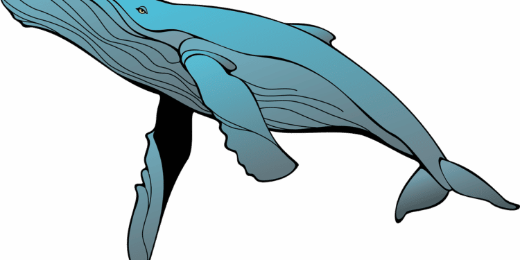 Weeks Before The Merge, Ethereum ICO-era Whale Address Reactivated