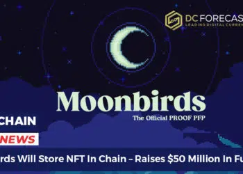 Moonbirds Will Store NFT