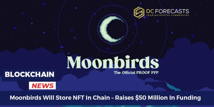 Moonbirds Will Store NFT