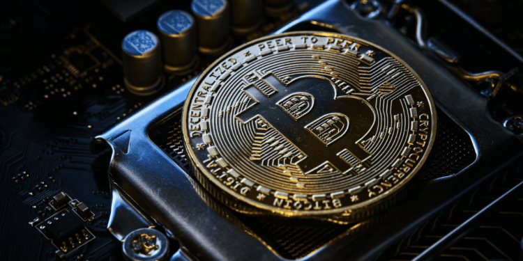 bitcoin trader review